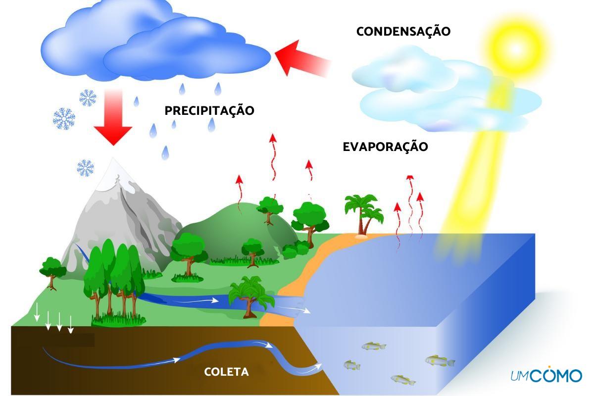 Como ocorre o ciclo da água na natureza