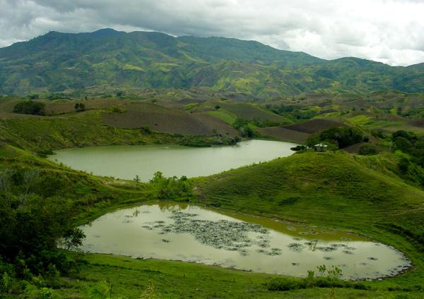 Qual a importância da água para os seres vivos - Funcionamento de ecossistemas