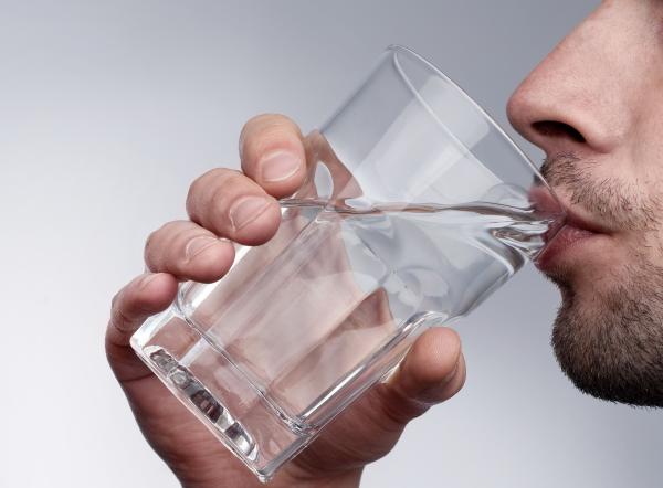 Qual a importância da água para os seres vivos - Funcionamento e manutenção do corpo humano