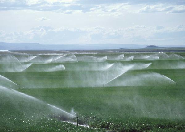 Qual a importância da água para os seres vivos - Irrigação de campos agrícolas