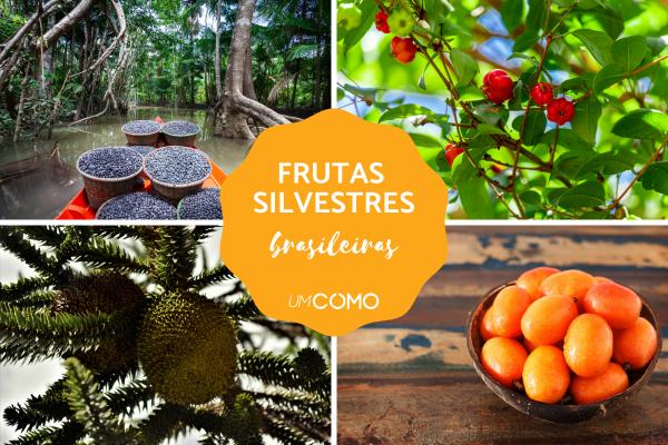 Quais são as frutas silvestres brasileiras