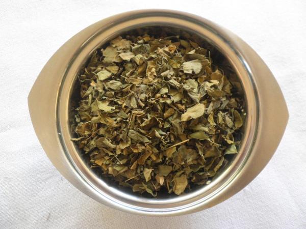Como preparar chá de moringa - Chá das folhas secas de moringa