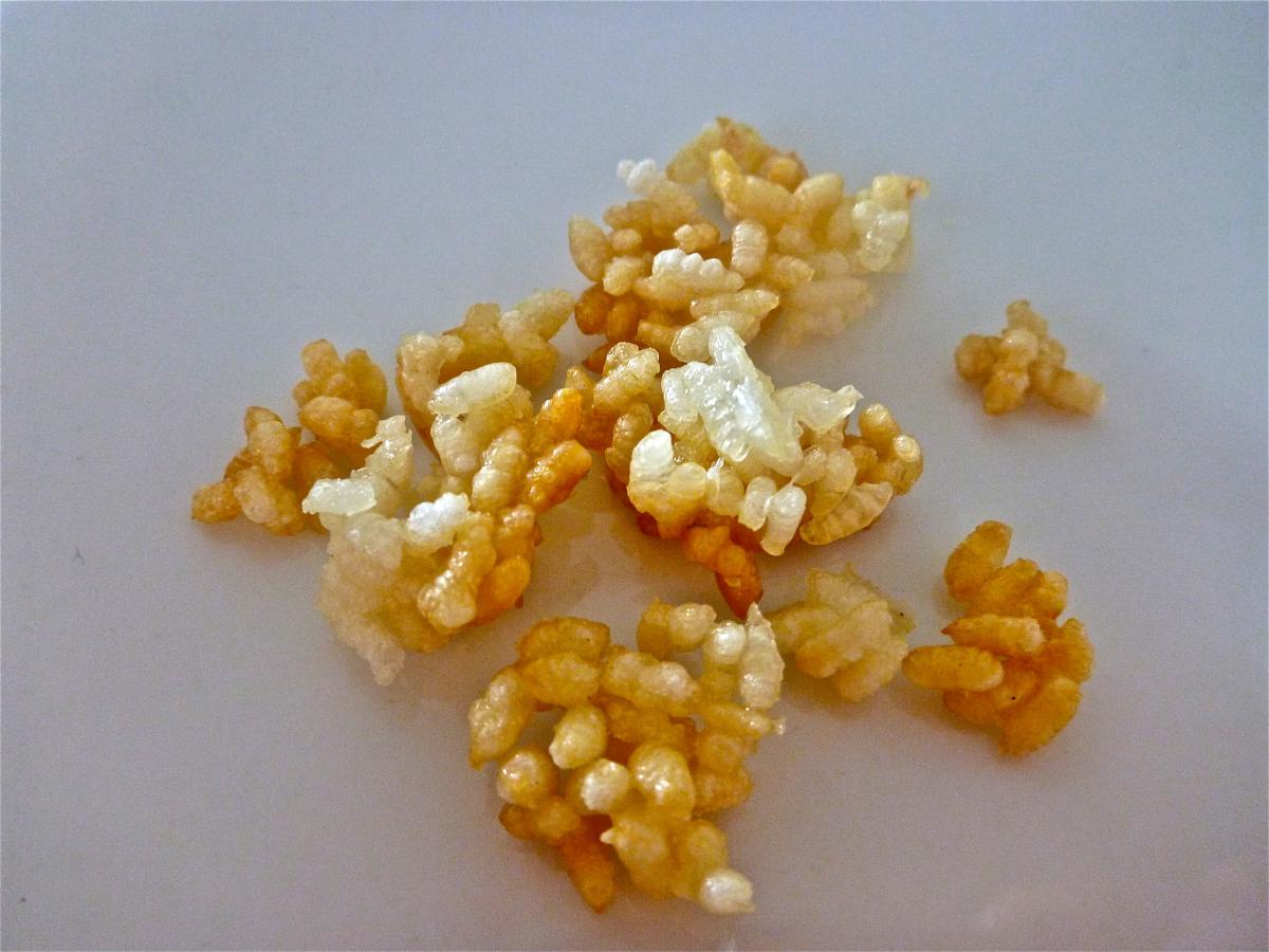 Como fazer pipoca de arroz