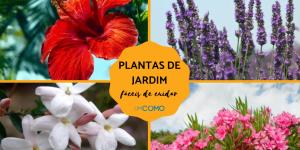 Nomes de plantas para jardim fáceis de cuidar