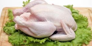 Como saber se o frango está estragado