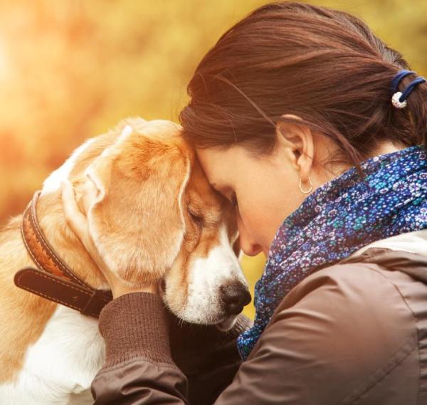 Como ensinar seu cachorro a vir quando chamado - Passo 2