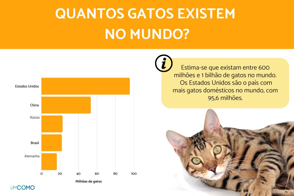 Quantos gatos existem no mundo?