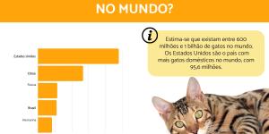 Quantos gatos existem no mundo?