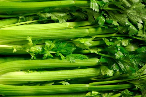 Caules comestíveis - Alimentos que são caule mais usados