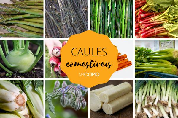 Caules comestíveis