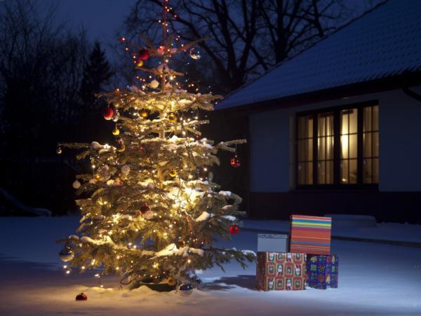Como decorar o jardim para o Natal - Árvore de Natal grande