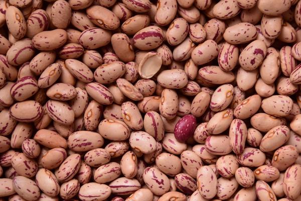 Como temperar feijão? - Todos os tipos