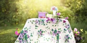 Como fazer um jardim com pouco dinheiro