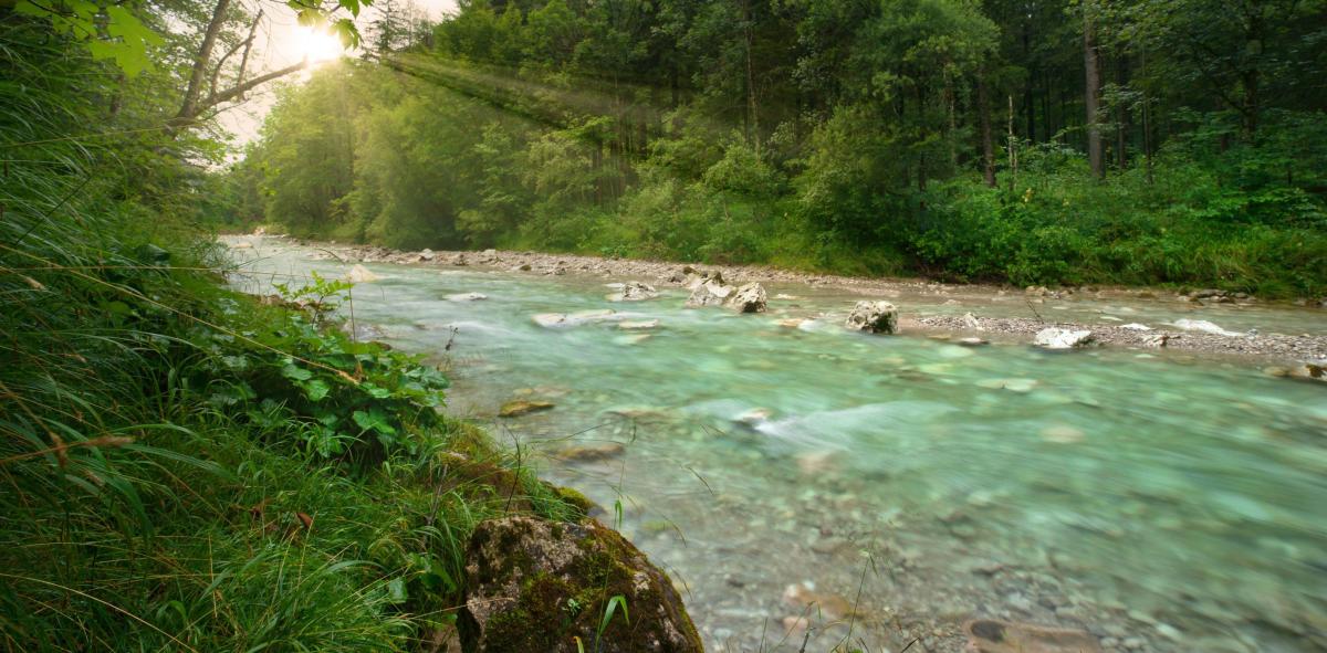 Como saber a que velocidade vai a água do rio