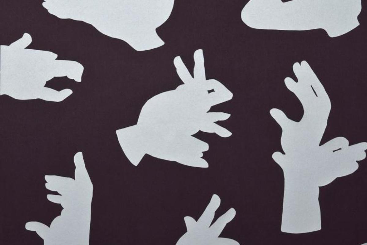 Como fazer sombras chinesas com as mãos