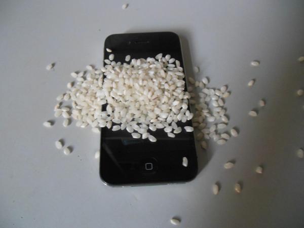 Como secar um iPhone que caiu à água - Passo 3