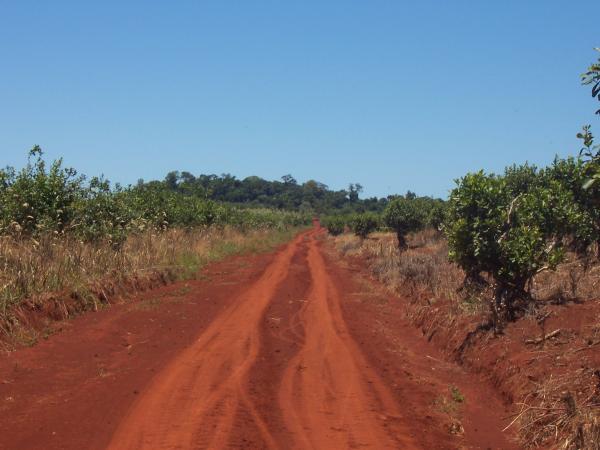 Quais as características do solo argiloso - Tipos de solo argiloso - Terra Roxa