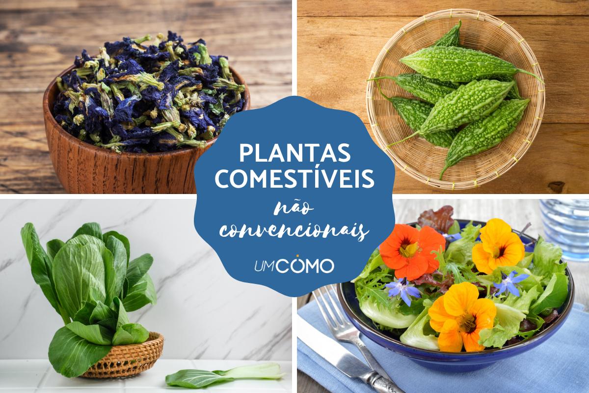 Plantas comestíveis não convencionais