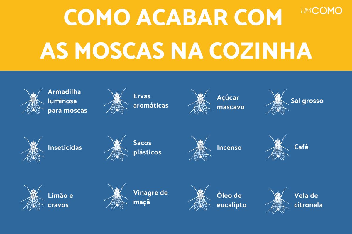 Como acabar com moscas na cozinha