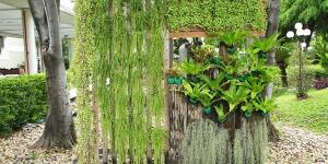 Quais são as melhores plantas para um jardim vertical