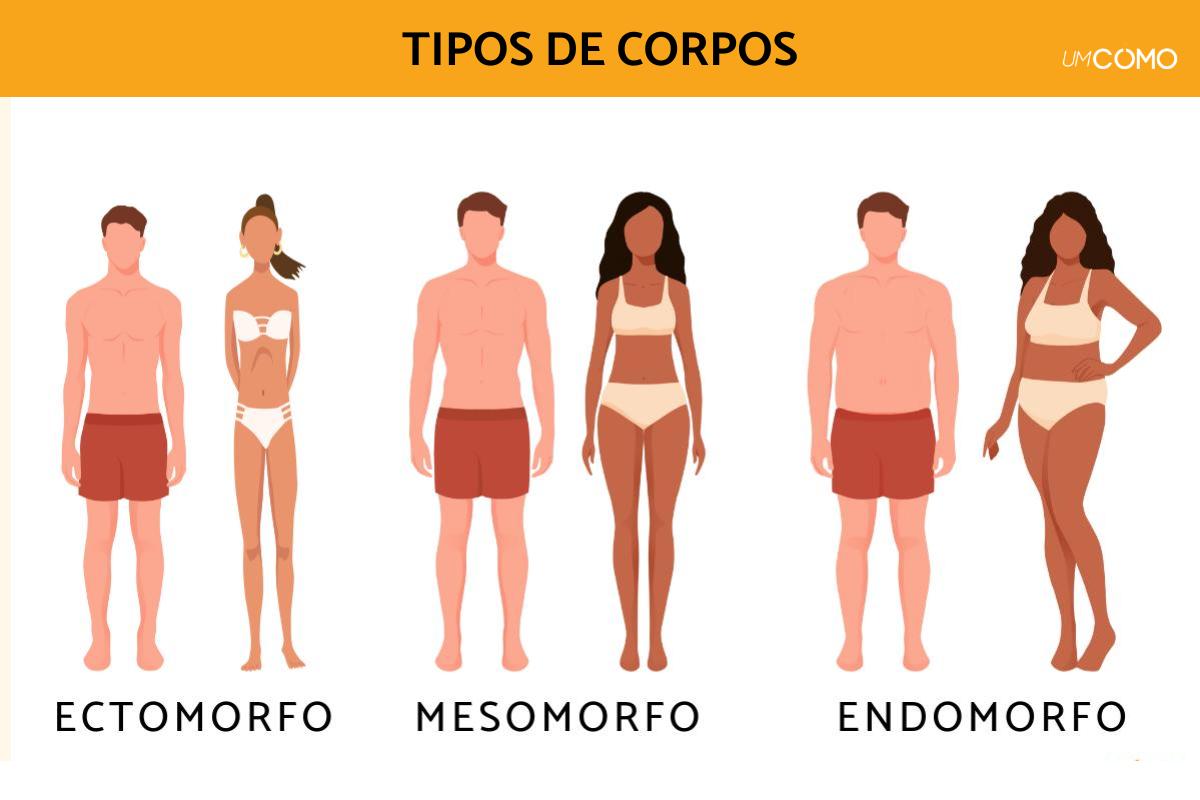 Ectomorfo, mesomorfo e endomorfo: como identificá-los