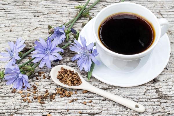 Como substituir o café - Chicória