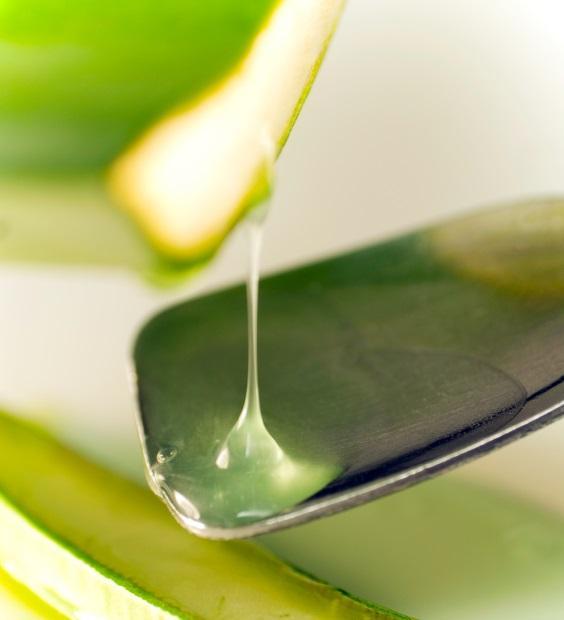 Como fazer uma máscara facial com aloe vera - Passo 5