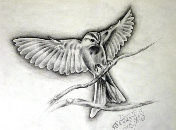 Qual o significado das tatuagens de beija flor