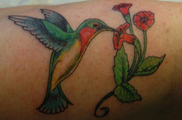 Qual o significado das tatuagens de beija flor - Significado das tatuagens de beija flor