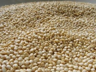Quais são os benefícios da quinoa