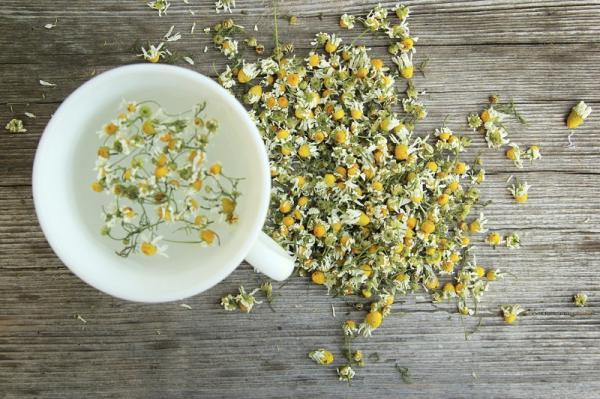 Tratamento natural para diverticulite - Infusões para a diverticulite
