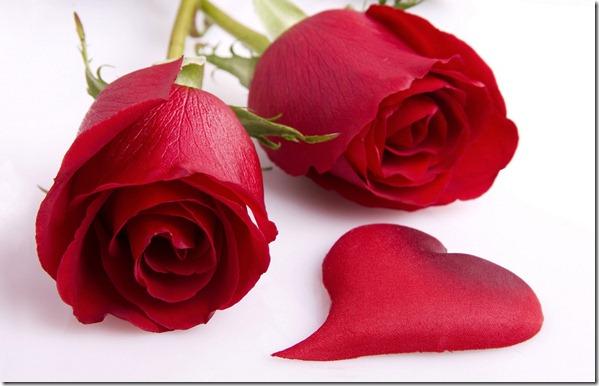 Como enviar flores virtuais grátis