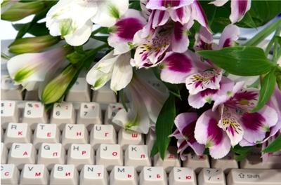 Como enviar flores virtuais grátis - Passo 2