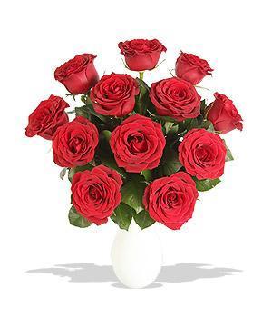 Como enviar flores virtuais grátis - Passo 3