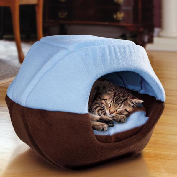 Como fazer um filhote de gato dormir - Passo 4