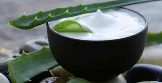 Como fazer um creme caseiro de aloe vera