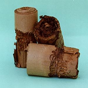 Como matar cupins com produtos caseiros - 7 métodos POSSÍVEIS - 7 maneiras de matar cupins com produtos caseiros