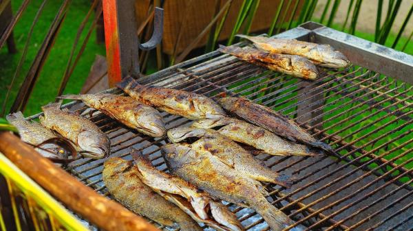 Como temperar peixe? Os melhores truques! - Como temperar peixe para assar na brasa