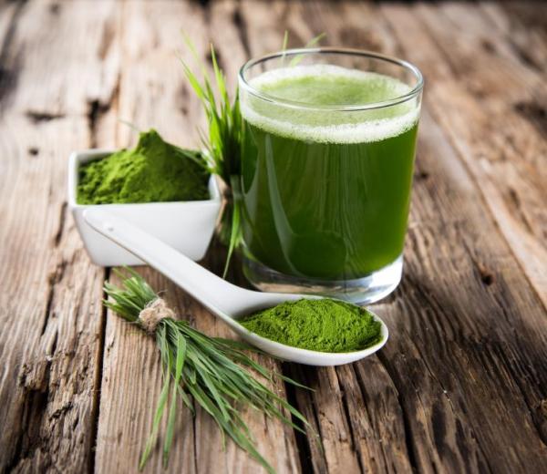 Como tomar espirulina para ganhar massa - Como tomar espirulina para ganhar massa muscular