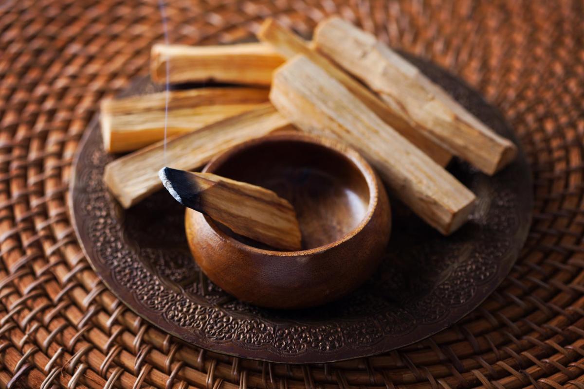 Palo santo: para que serve