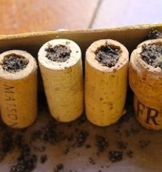 Como fazer vasos com rolhas - Passo 6