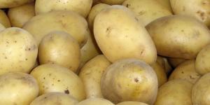Como conservar batatas