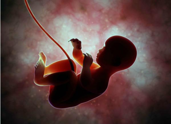 Como acontece a trombose no cordão umbilical - Passo 1
