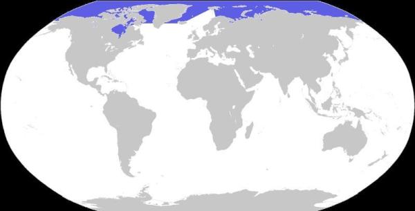 Qual é o menor oceano do mundo - Passo 2
