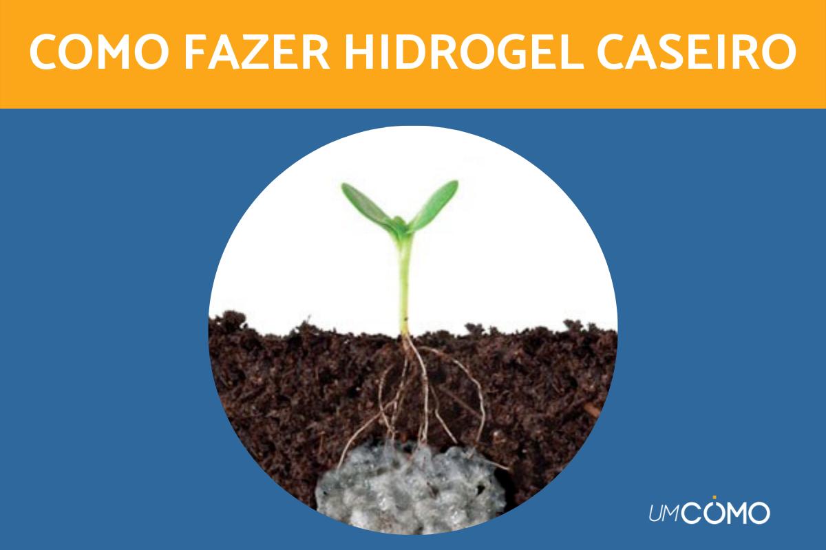 Como fazer hidrogel para plantio