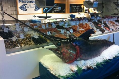 Quais são os peixes com menos mercúrio - Quais são os peixes com mais mercúrio