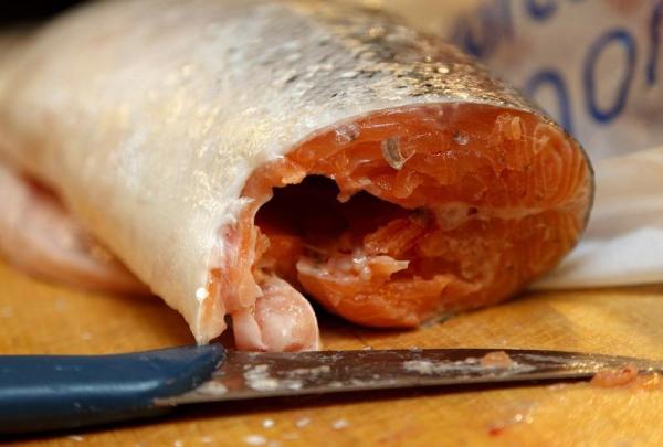 Quais são os peixes com menos mercúrio - Quais são os peixes com menos mercúrio: salmão