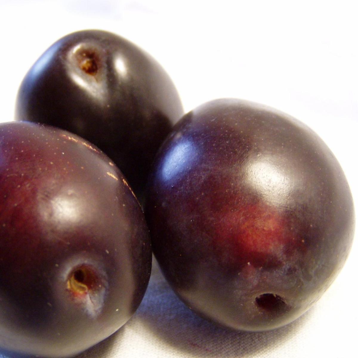 Como fazer ameixas em calda