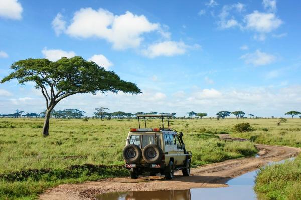 O que é mão inglesa e onde é adotada? - Tanzânia