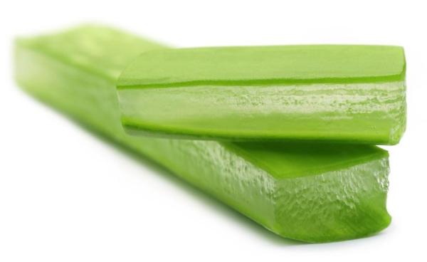 Como fazer esfoliantes com aloe vera - Propriedades da aloe vera para a pele